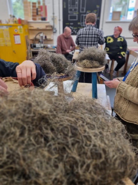 The insides of the stools; mostly hog hair.